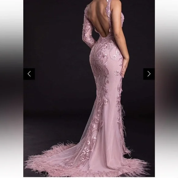 Portia and Scarlett Blush Long Sleeve Feather Fringed Embroidered Gown Size 6 - Picture 11 of 16